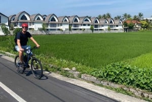 Ubud: E-Bike Tour with Rice Terrace and Village Visit