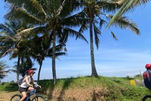 Ubud: E-Bike Tour with Rice Terrace and Village Visit