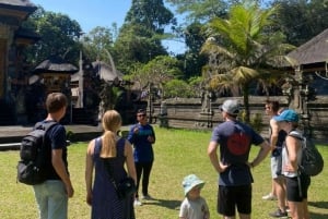 Ubud: E-Bike Tour with Rice Terrace and Village Visit