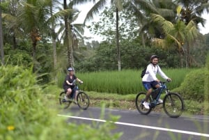 Ubud: E-Bike Tour mit Reisterrasse und Dorfbesuch