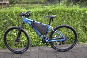 Ubud: E-Bike Tour mit Reisterrasse und Dorfbesuch