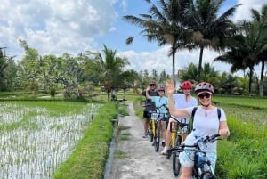 Ubud: E-Bike Tour mit Reisterrasse und Dorfbesuch