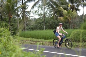 Ubud: E-Bike Tour mit Reisterrasse und Dorfbesuch