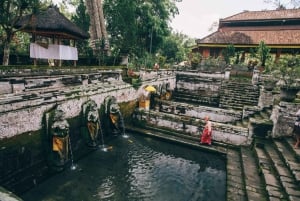 Ubud : visite guidée de la grotte des éléphants et de Pakerisan, classés au patrimoine mondial de l'UNESCO