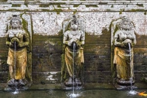Ubud : visite guidée de la grotte des éléphants et de Pakerisan, classés au patrimoine mondial de l'UNESCO