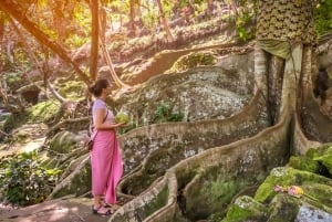 Ubud : visite guidée de la grotte des éléphants et de Pakerisan, classés au patrimoine mondial de l'UNESCO