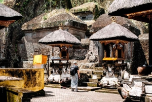 Ubud : visite guidée de la grotte des éléphants et de Pakerisan, classés au patrimoine mondial de l'UNESCO
