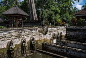 Ubud : visite guidée de la grotte des éléphants et de Pakerisan, classés au patrimoine mondial de l'UNESCO
