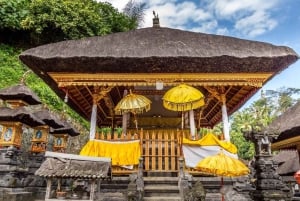 Ubud : visite guidée de la grotte des éléphants et de Pakerisan, classés au patrimoine mondial de l'UNESCO