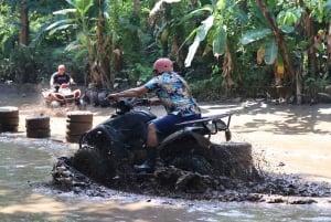 Ubud: Exclusive Track ATV/QUAD Ride and Coffee Luwak Tour