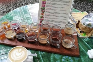 Ubud: Exclusive Track ATV/QUAD Ride and Coffee Luwak Tour