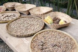 Ubud: Exclusive Track ATV/QUAD Ride and Coffee Luwak Tour