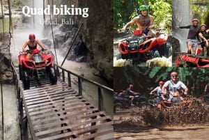 Ubud: Exclusive Track ATV/QUAD Ride and Coffee Luwak Tour