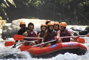 Ubud: White Water Rafting, Jungle Swing & Waterfall Tour