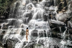Ubud Full Day Customized Tour