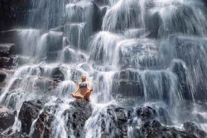 Ubud Full Day Customized Tour