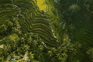 Ubud: Privat dagsutflykt