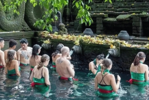 Ubud: Privat dagsutflykt