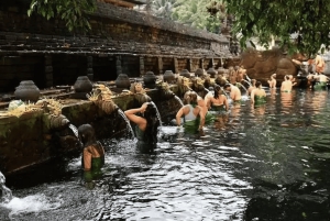 Ubud: Privat dagsutflykt