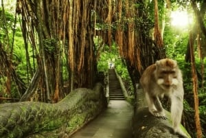 Ubud: Privat dagsutflykt