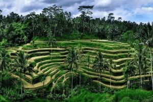 Ubud: Privat dagsutflykt