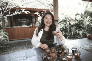 Ubud: Privat dagsutflykt