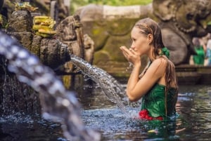 Ubud: Privat dagsutflykt