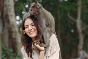 Ubud: Privat dagsutflykt