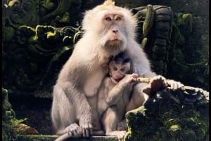 Ubud Full-Day Tour: Batuan Temple, Tegalalang & Ulu Petanu