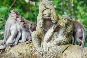 Ubud Full-Day Tour: Batuan Temple, Tegalalang & Ulu Petanu