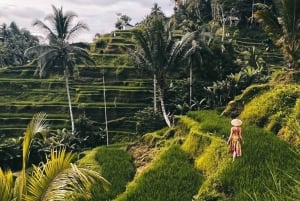 Ubud Full Day Tour - Fully Customized with Guided Tour