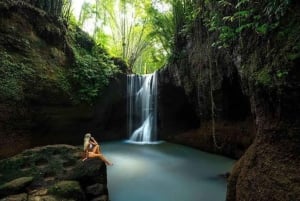 Ubud: Private Guided Customizable Full-Day Trip