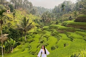 Ubud: Goa Garba, Cascatas e Terraço de Arroz - Tour Privado