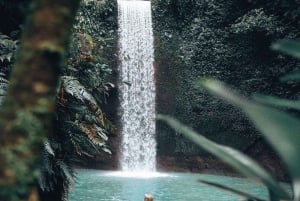 Ubud: Goa Garba, Cascatas e Terraço de Arroz - Tour Privado