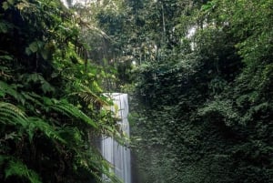 Ubud: Goa Garba, Cascatas e Terraço de Arroz - Tour Privado