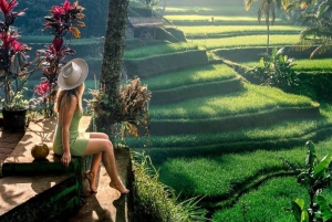 Ubud: Goa Garba, Waterfalls, and Rice Terrace Private Tour