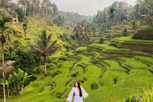 Ubud: Goa Garba, Waterfalls, and Rice Terrace Private Tour