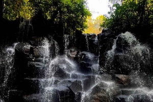 Ubud: Goa Garba, Waterfalls, and Rice Terrace Private Tour