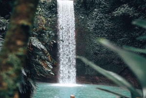 Ubud: Goa Garba, Waterfalls, and Rice Terrace Private Tour