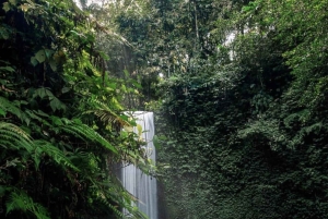 Ubud: Goa Garba, Waterfalls, and Rice Terrace Private Tour