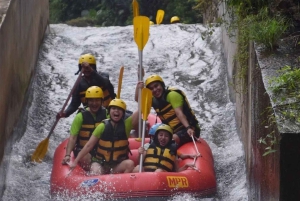 Ubud: Gorila Face ATV Quad bike & Rafting