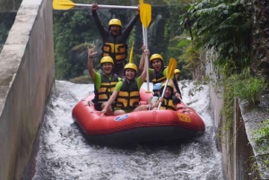 Ubud: Gorila Face ATV Quad bike & Rafting
