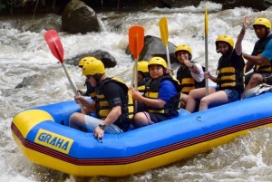 Ubud: Gorila Face ATV Quad bike & Rafting