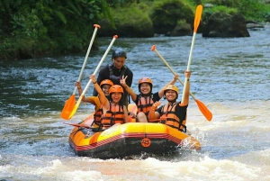 Ubud: Gorila Face ATV Quad bike & Rafting