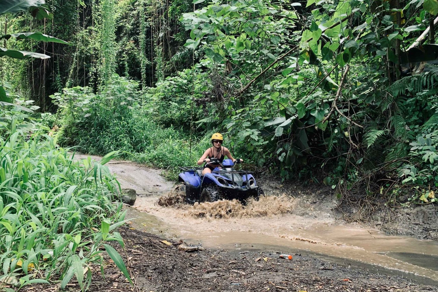 Ubud: Gorilla Face ATV-quadsykkel