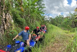 Ubud: Gorilla Face Quad Bike, Jungle Swing, Waterfall & Meal