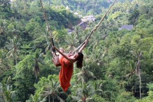 Ubud: quad Gorilla Face, altalena nella giungla, cascata e pasto