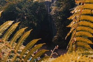 Ubud: quad Gorilla Face, huśtawka w dżungli, wodospad i posiłek