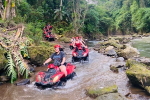 Ubud: Gorilla Face-quad, jungleschommel, waterval en maaltijd