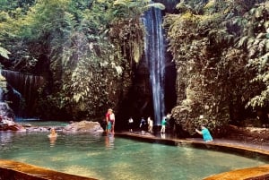 Ubud: Gorilla Face-quad, jungleschommel, waterval en maaltijd